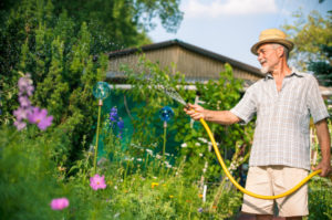 Tempe landscape maintenance