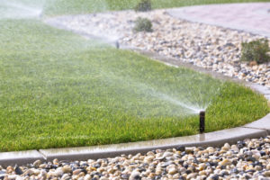 Water Conservation is Critical for Landscaping