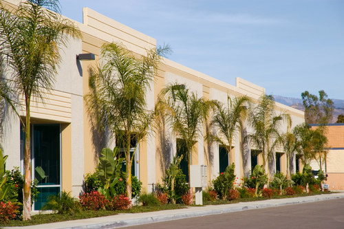 Commercial Landscaping in Chandler