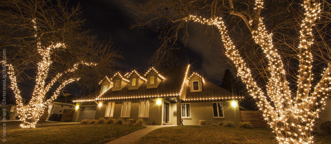 fairy lights wrapped around tree